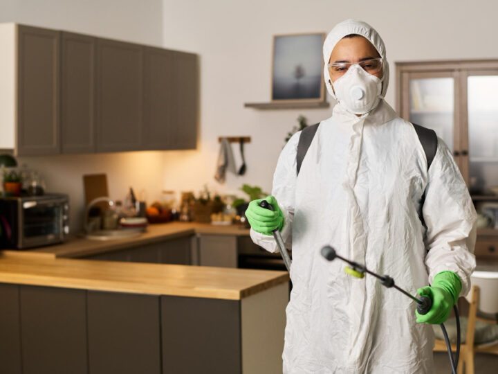 O Novo Padrão Técnico no Saneamento e Controle de Pragas em São Paulo: Eficiência, Risco Zero e a Luta Contra a Informalidade