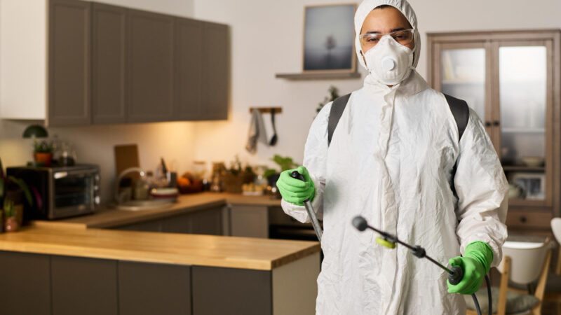 O Novo Padrão Técnico no Saneamento e Controle de Pragas em São Paulo: Eficiência, Risco Zero e a Luta Contra a Informalidade